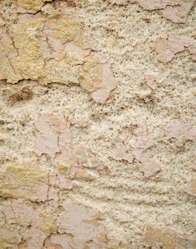 Pisin Asuntolaina: Opas Asunnon Rahoittamiseen Ja Hakuprosessiin