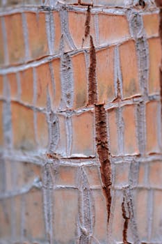 {secure-online-shopping}