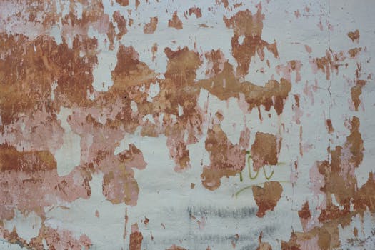 financial_plan_pexels