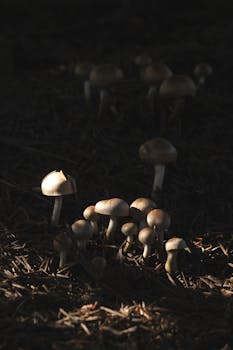 {mortgage-application-pexels}