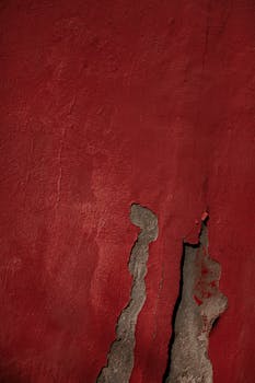 Osuuspankki Korko: Oppaan Avulla Ymmärrät Talletuskorkojen Ja Lainojen Korot