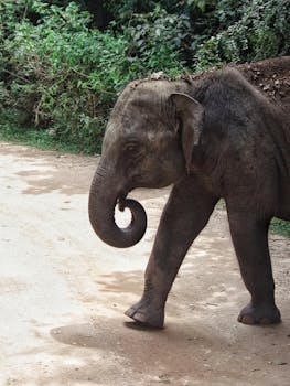 Tietoa Aktia Debit -kortista Ja Sen Käyttötavoista