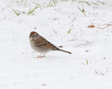 happy player at casino