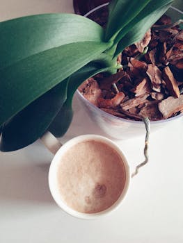 Pienin Korko Laina: Miten Löytää Edullisin Lainavaihtoehto