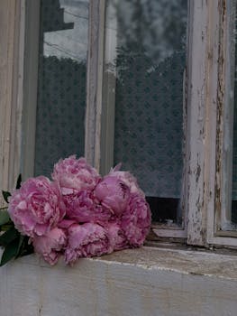 Laina 150: Nopeat Ja Turvalliset Tavat Hankkia Pelirahaa Nettikasinolla