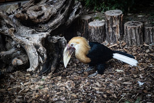 search-santander-review