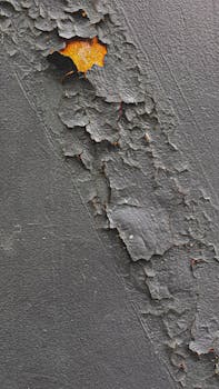 Korttipelit Ja Pasianssit Kirja: Täydellinen Opas Eri Peleihin Ja Niiden Historiaan