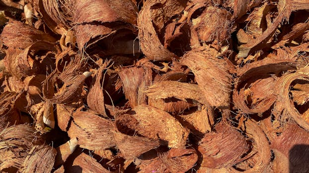 Pasianssi Ilman Mainoksia: Parhaat Ilmaiset Pasianssit Verkossa