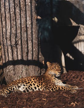 pexels-visual-calligraphy-3757944