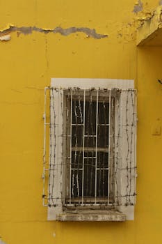 pexels-money-transaction