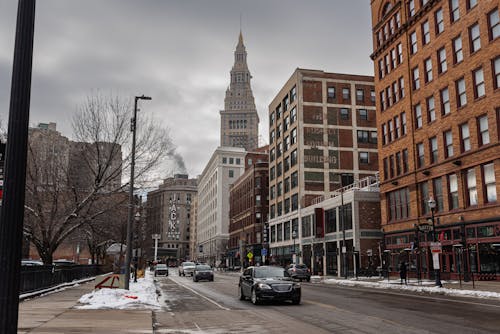 pexels-sharon-mccutcheon-1340444