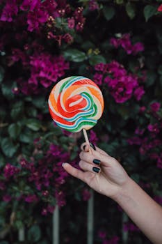 Yrittäjä Lainaa Yritykselle Rahaa: Mahdollisuudet, Prosessit Ja Toimintatavat