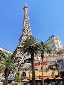 Lainan Koron Määräytyminen: Perusteet Ja Tekijät Selkeästi