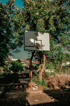 pexels-online-gambling