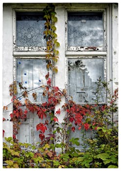 pexels-credit-card-transaction-2023