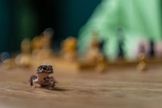 luxury casino interior