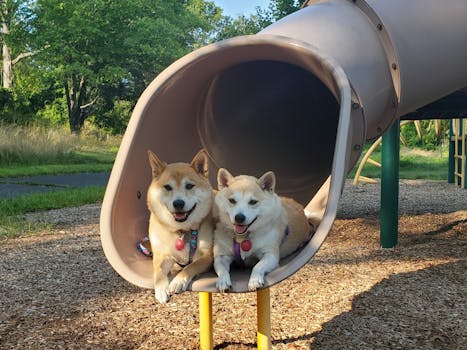 Paras Paras Pikalaina: Ohjeet Ja Vinkit Paras Paras Pikalaina Hakemiseen