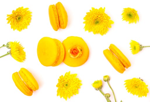 Laina 60000: Tietoa Ja Vaihtoehtoja Pienten Lainojen Ottamiseen