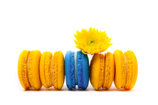 Yrittäjä Lainaa Yritykselle Rahaa: Mahdollisuudet, Prosessit Ja Toimintatavat