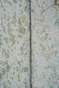 Lainan Koron Määräytyminen: Perusteet Ja Tekijät Selkeästi