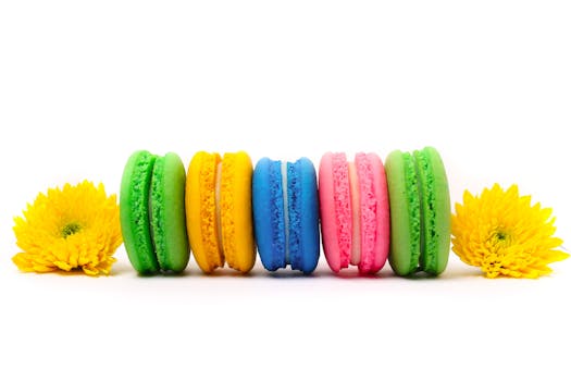 Lainan Koron Määräytyminen: Perusteet Ja Tekijät Selkeästi