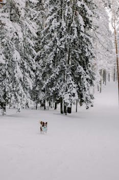 online casino coins and chips