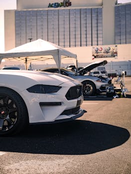 credit_card_economics