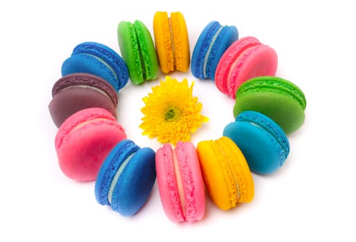 Yrityksen Lainan Takaus: Opas Ja Käytännön Tiedot