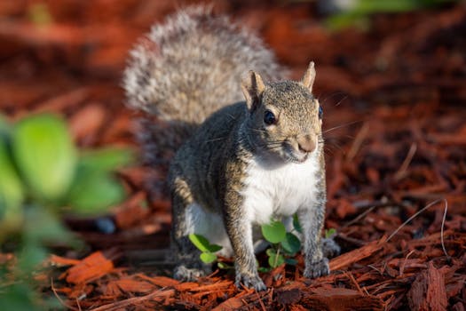 Kalevala Kasino Ilmaiskierrokset: Opi Hyödyntämään Ilmaiskierroksia Ja Maksimoimaan Voitot