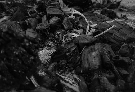 {interest_rate_effects}