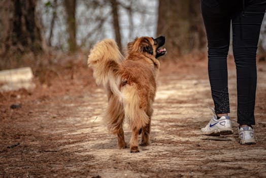 {cybersecurity_defense}