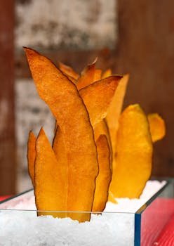 Auton Käyttötarkoitus Ja Laina: Autoa Vastaan Lainan Mahdollisuudet