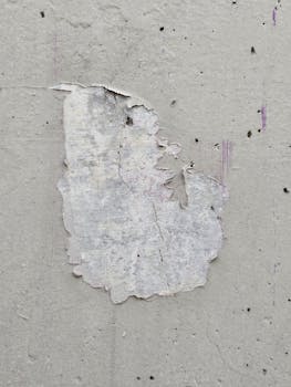 loan-processing-speed-pexels