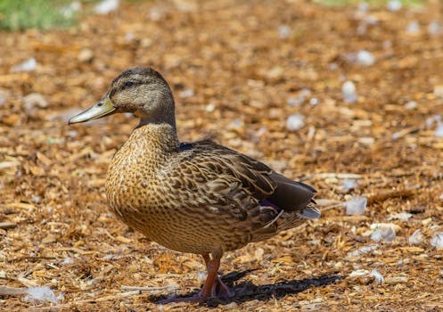 online banking process