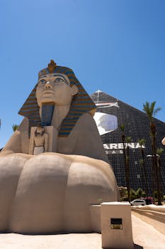 digital-application-process