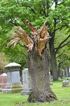 financial growth and tax