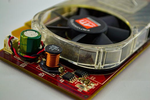 {government_guarantee}