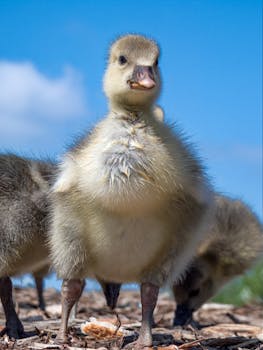 pexels-team-discussion-staffs