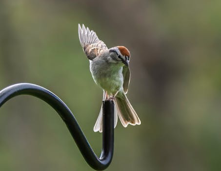 S-pankki Kortti Hinnasto: Tietopaketti Ja Vertailu Eri Korttityypeistä