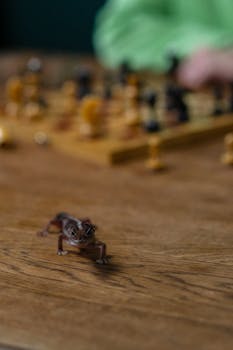 Korttipelit Ja Pasianssit Kirja: Täydellinen Opas Eri Peleihin Ja Niiden Historiaan