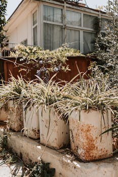 Op ASP Tili Lisäkorko: Tarkka Opas Ja Käytännön Tiedot