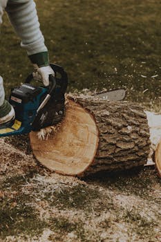 financial management on Pexels