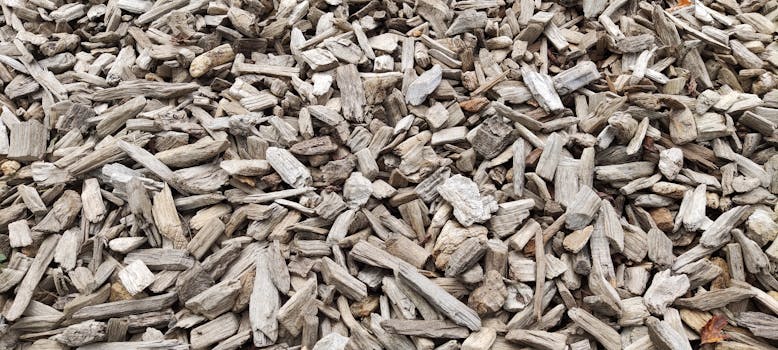 online payment processing