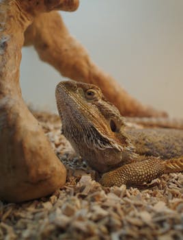 Asuntolaina Ilman Asp Tiliä: Vaihtoehdot Ja Vinkit