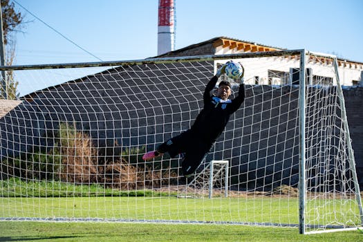 pexels law and regulation