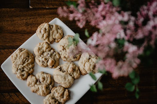 Svea Ikäraja: Tietoa Ja Ohjeita Alaikäisten Ja Aikuisen Käyttöön