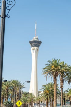 {interest-rate-dynamics}