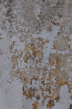 {autolainojen_korko}