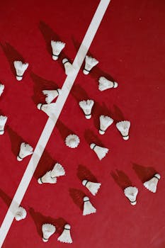 financial-risk-pexels