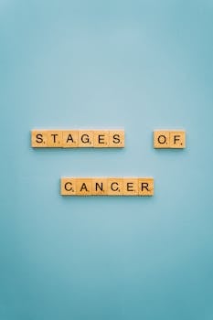 Ray Pokeri Turku: Kasinoita, Pelipaikkoja Ja Pokerikulttuuria Turussa